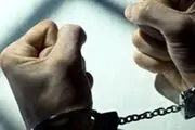 مدیر عامل فراری بانک سرمایه دستگیر شد + جزئیات