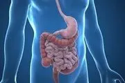 چگونه خطر ابتلا به سرطان روده بزرگ را کاهش دهیم؟