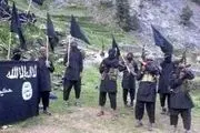 
داعش: طالبان از شیعیان حمایت می‌کند
