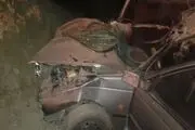 برخورد شتر با وسیله نقلیه در سیریک 7 کشته و زخمی برجای گذاشت