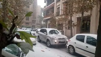 بارش برف تهران را قفل کرد/ شهرداری تهران غافلگیر شد