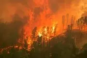 علت آتش سوزی‌های اخیر در پارک ملی گلستان چه بود؟