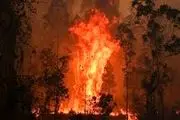 
ادامه آتش سوزی ها در شرق استرالیا
