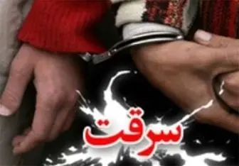  دستگیری ۵ سارق حرفه‌ای با ۶۱ فقره سرقت در تبریز 