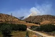 تلاش مردم برای اطفای حریق جنگل‌های مریوان/ گزارش تصویری