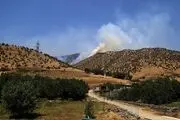 تلاش مردم برای اطفای حریق جنگل‌های مریوان/ گزارش تصویری