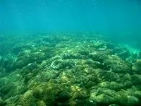 کشف شمالی‌ترین تپه‌های مرجانی جهان توسط دانشمندان