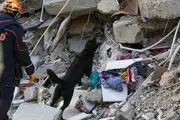 
اقدام تبعیض‌آمیز کشورهای غربی در حرکت بشردوستانه
