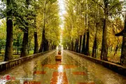 ادامه بارش ها در 16 استان کشور