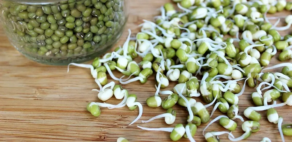 کنترل قند، فشار و چربی خون، با این گیاه خوشمزه