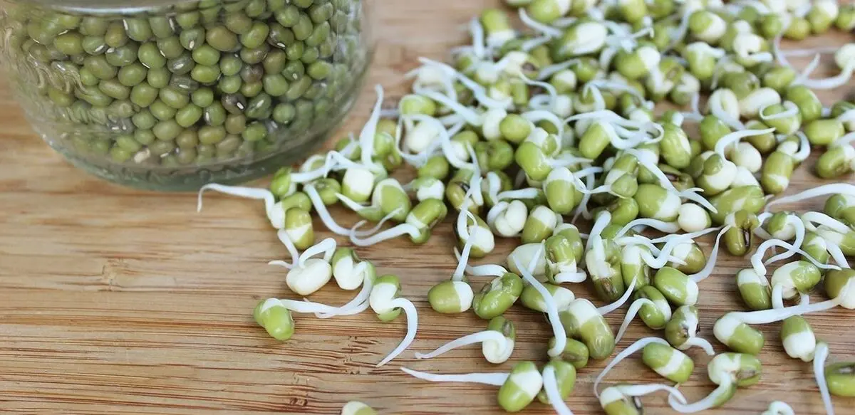 کنترل قند، فشار و چربی خون، با این گیاه خوشمزه