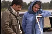 فروش 600 میلیونی «ناگهان درخت» با بازی پیمان معادی و مهناز افشار