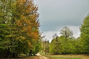 n00124685-r-b-004