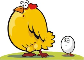 افزایش قیمت تخم مرغ و مرغ زنده در بازار