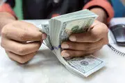 قیمت دلار امروز دوشنبه ۵ مرداد ۱۴۰۵ 
