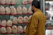 نظارت پیامکی بر بازار مرغ