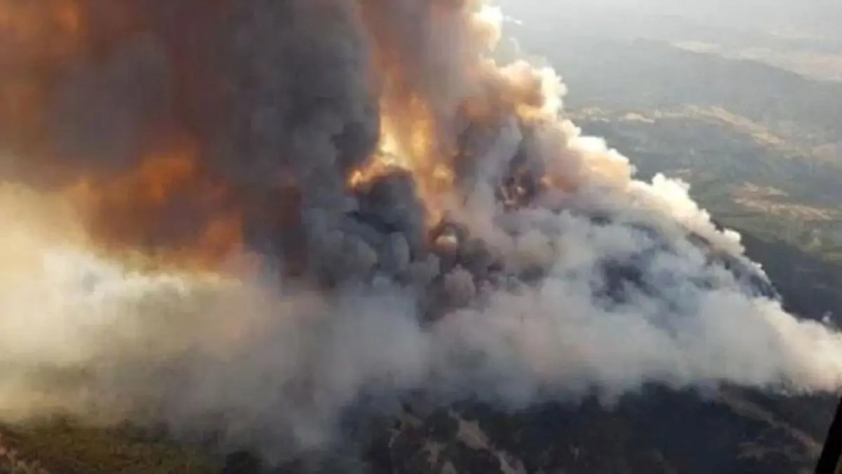 آتش سوزی وسیع اینبار در جنگل‌های آنکارا