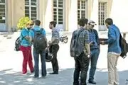 فارغ‌التحصیلان دانشگاه کجا کار می‌کنند؟ +جدول