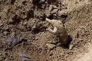 دختر پاکستانی از گور زنده بیرون آمد