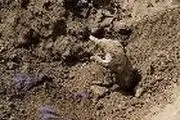 دختر پاکستانی از گور زنده بیرون آمد