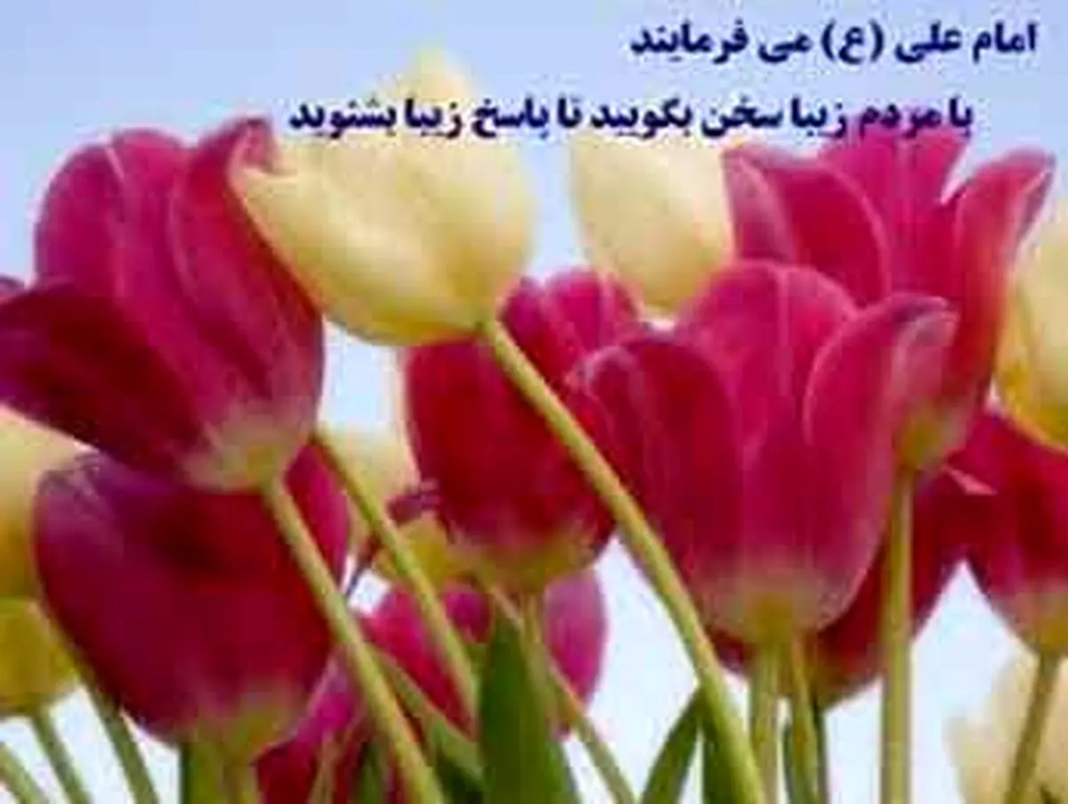عاقل ها و احمق ها را چگونه بشناسیم؟