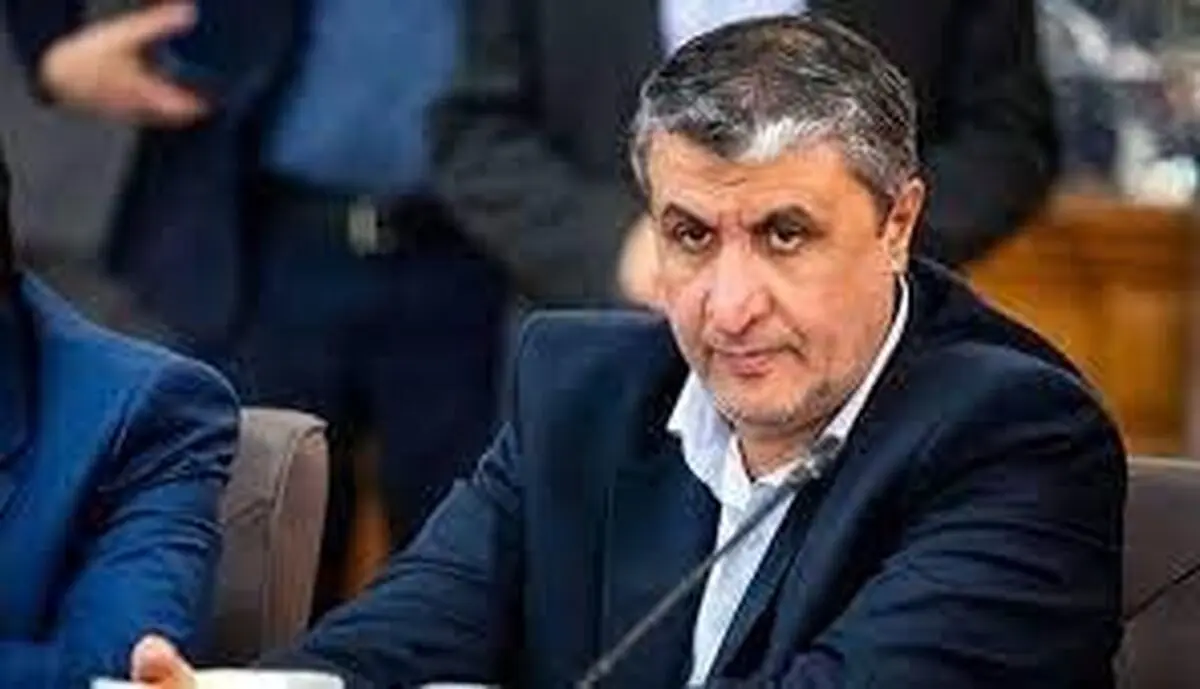 ایران: با «روس اتم» نیروگاه‌های بزرگ و کوچک جدید خواهیم ساخت