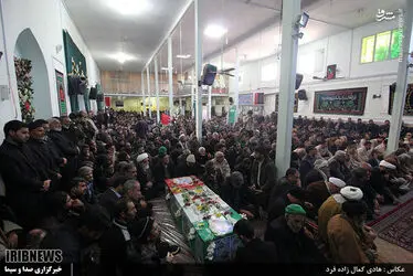 شهید کاردیده