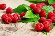 لاغری و حافظه قوی با این میوه کوچک