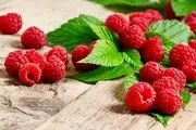 لاغری و حافظه قوی با این میوه کوچک