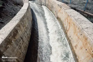 3423168_IMG_3140