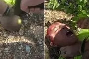 خشونت وحشیانه پلیس آمریکا علیه یک مظنون غیرمسلح+ فیلم