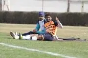 گل محمدی استقلالی شد!