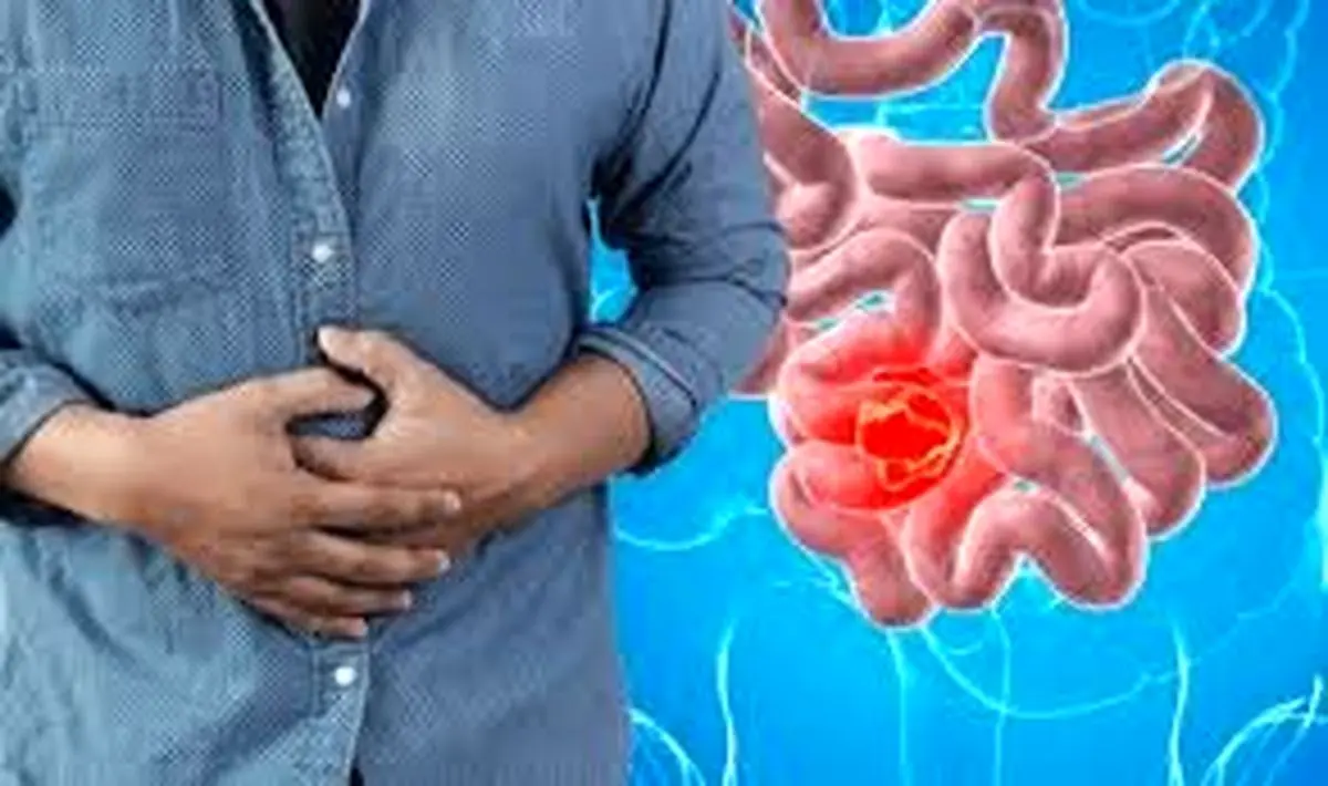 هضم و جذب مواد مغذی چقدر طول میکشد؟