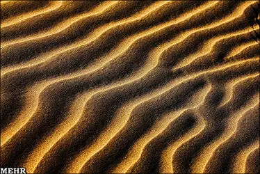 n00082149-r-b-009