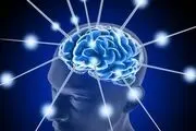 
ارتباط ساعت داخلی بدن با خطر زوال عقل
