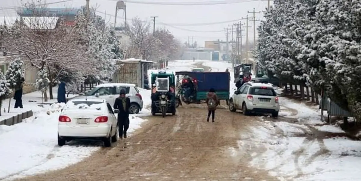 یخبندان بیسابقه جان 22 نفر را گرفت