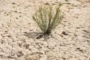 مازندران پرآب نیست
