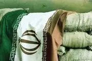 تشریح برنامه‌های سازمان سینمایی در هفته دفاع‌مقدس