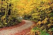 طبیعت زیبای پاییزی شیراز/ عکس