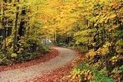 طبیعت زیبای پاییزی تفرش/ عکس