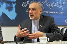 صالحی: ایران و ۱ + ۵ به این نتیجه رسیده‌اند