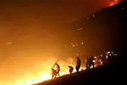 
آتش‌سوزی در بلندترین قله استان بوشهر
