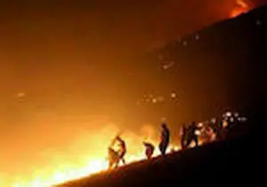 
آتش‌سوزی در بلندترین قله استان بوشهر
