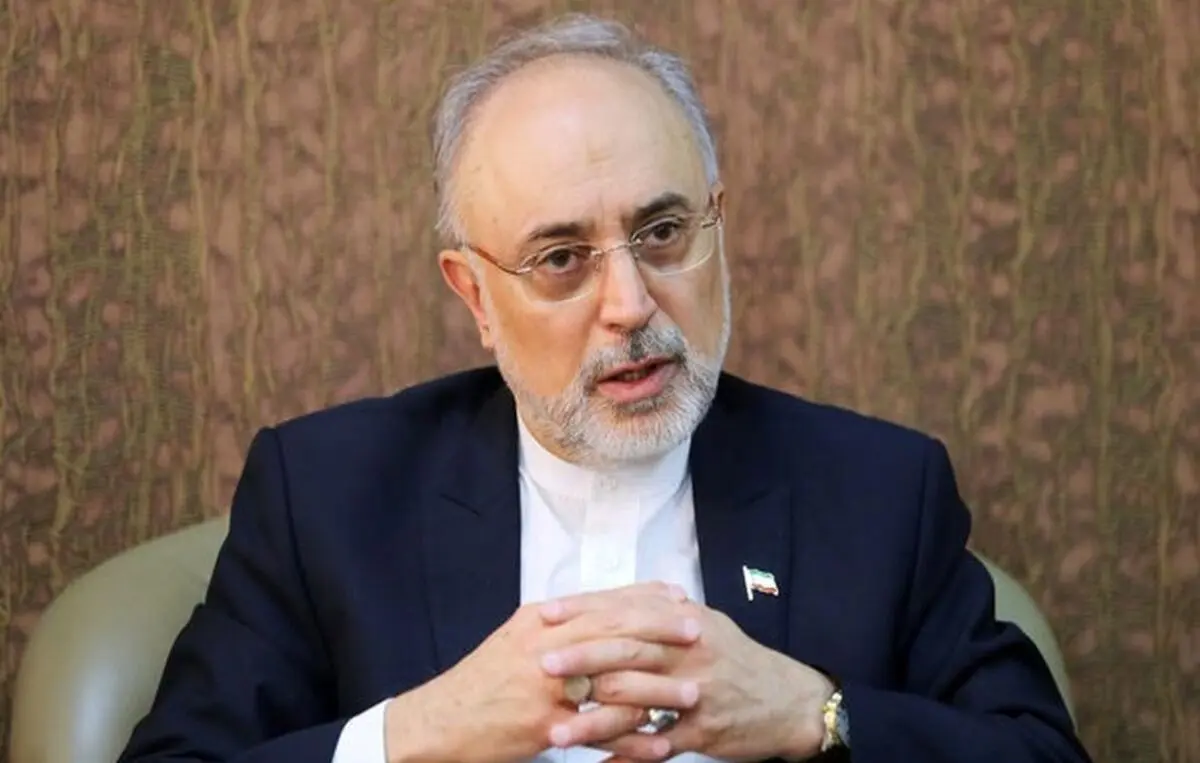 دیپلماسی اقتصادی و دیپلماسی علمی یک ضرورت است/ شورای عالی دیپلماسی اقتصادی زیر نظر رئیس‌جمهور تشکیل شود