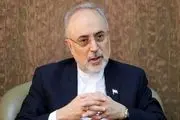 واکنش جنجالی علی اکبر صالحی به توان ایران برای ساخت بمب اتم