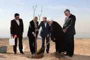 روحانی: همه مردم در طرح درختکاری مشارکت کنند