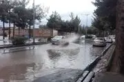 بارش باران تابستانی در گرگان/ عکس