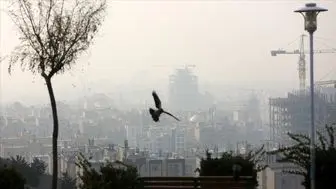 شاخص آلودگی هوای تهران امروز جمعه ۲۹ دی