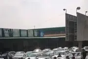 مرغ یخی هم به صف شد!! /فیلم