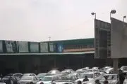 مرغ یخی هم به صف شد!! /فیلم